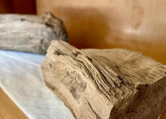 Stadtforst Halle * Niederdorla